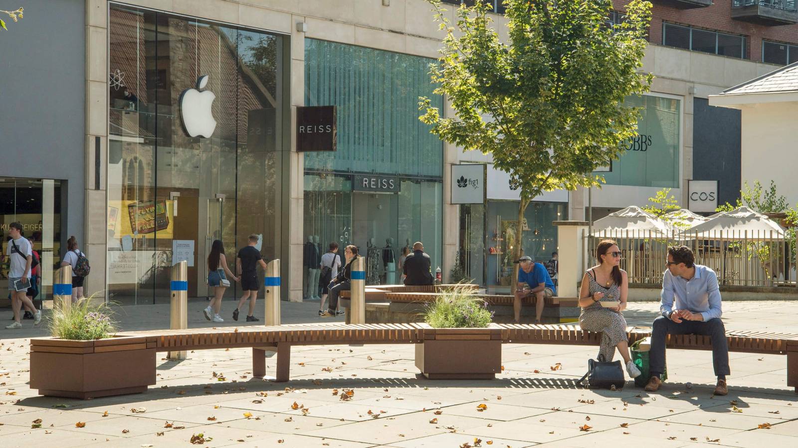 Apple Bristol Current
